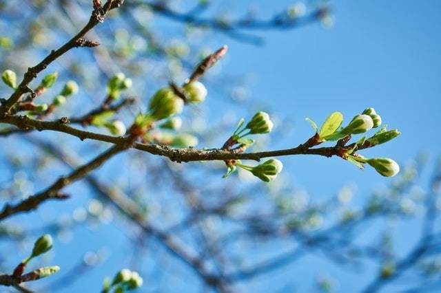 ЦАГ АГААР: Өнөөдөр говь талын нутгаар салхи, шороон шуургатай...